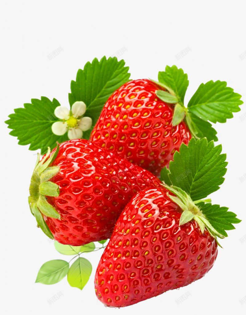 草莓食材蔬菜水果画板精细划分标明分图标png_新图网 https://ixintu.com 为避免造成刷屏 也欢迎交朋友的 标明分类名称 草莓免扣