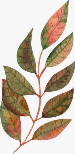 水彩秋季树叶图手绘彩绘水彩插画素材