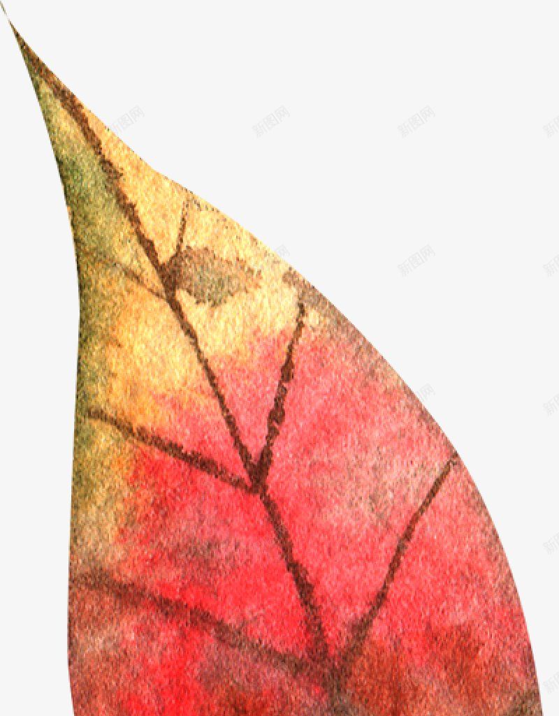 水彩秋季树叶图手绘彩绘水彩插画png免抠素材_新图网 https://ixintu.com 免扣手绘彩绘水彩插画 水彩秋季树叶图