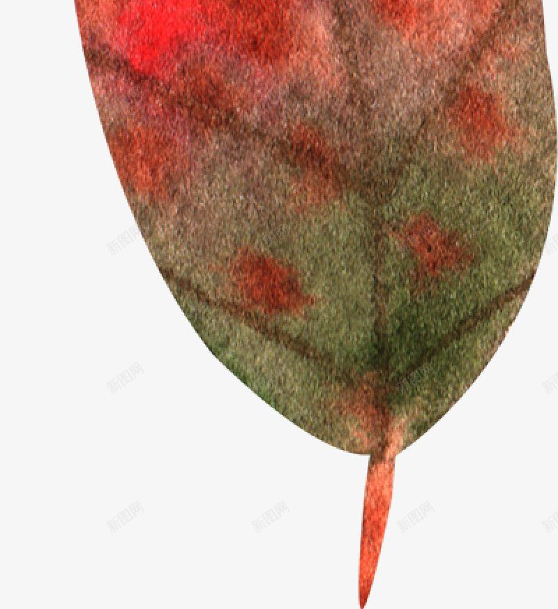 水彩秋季树叶图手绘彩绘水彩插画png免抠素材_新图网 https://ixintu.com 免扣手绘彩绘水彩插画 水彩秋季树叶图