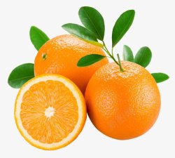 朱颜橙子水果爱在朱颜未改时高清图片