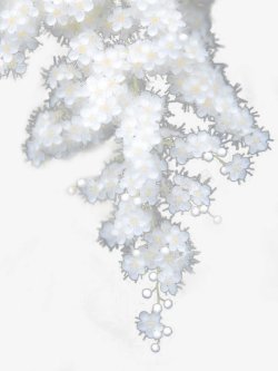 雾画手绘白色花枝装饰高清图片