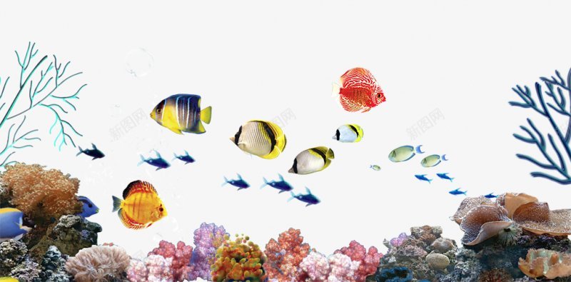 海底世界珊瑚海藻PNS透明底png免抠素材_新图网 https://ixintu.com PNS透明底 海底世界 珊瑚海藻