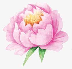 手绘粉色牡丹花朵元素素材