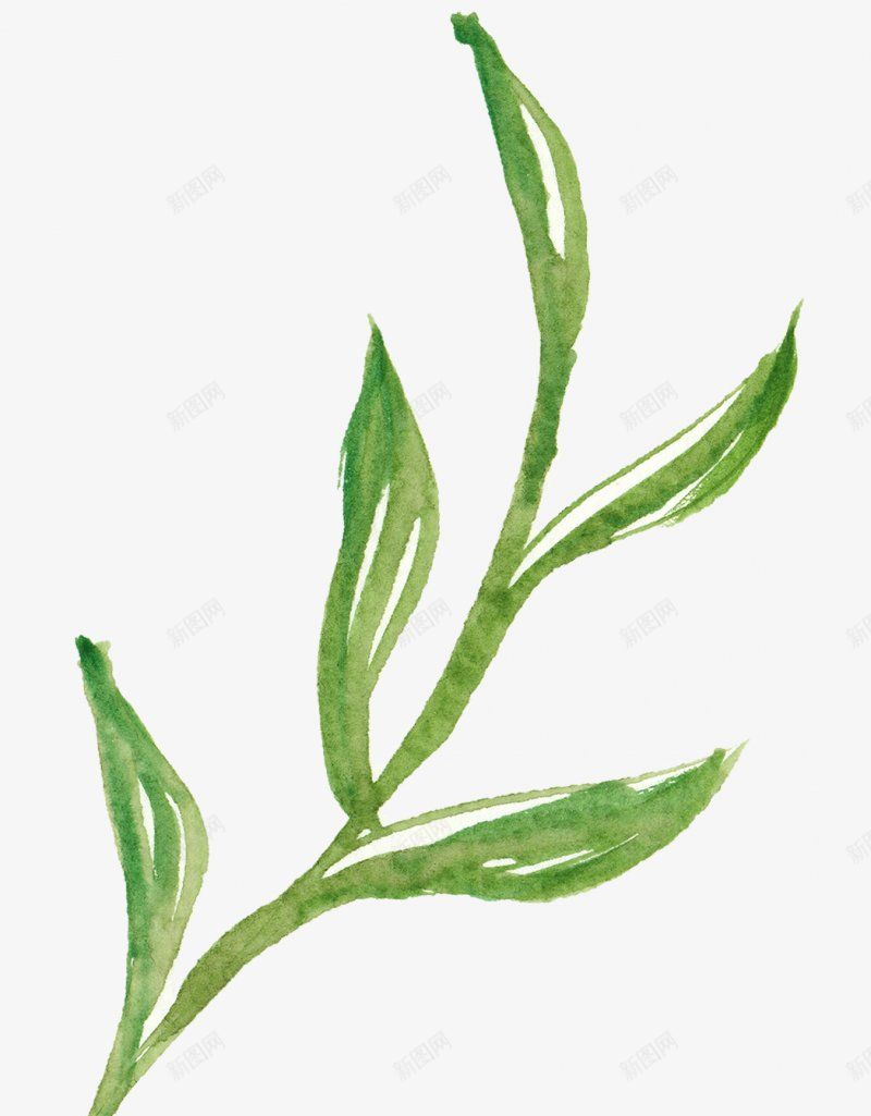 花卉植物库包液体气泡水水珠油电商滴管水面水png免抠素材_新图网 https://ixintu.com 库 植物 气泡 水 水珠 油 液体 电商 花卉 设计包