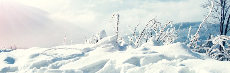 冬季雪地全屏海报冷色系冬天jpg设计背景_新图网 https://ixintu.com 冬季雪地全屏海报 冷色系冬天