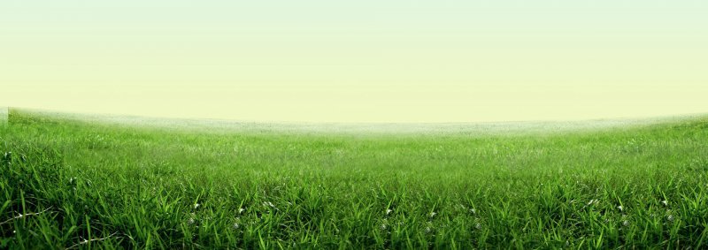绿色的草地小清新绿色系树叶jpg设计背景_新图网 https://ixintu.com 素材 绿色的草地小清新 绿色系树叶