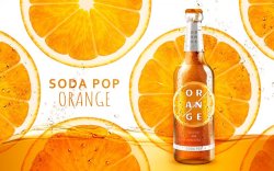致优知识点图果汁饮品汽水切片甜橙香橙饮品主题海报PSD广告海报高清图片