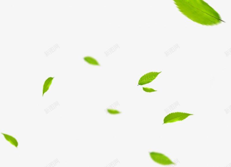 树叶叶子绿色植物png免抠素材_新图网 https://ixintu.com 免扣 叶子 树叶 绿色植物