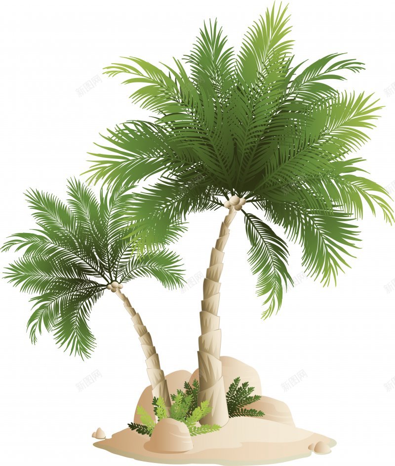 沙滩椰子树矢量lanrentukucom转换纹理jpg高清背景_新图网 https://ixintu.com com 纹理 转换