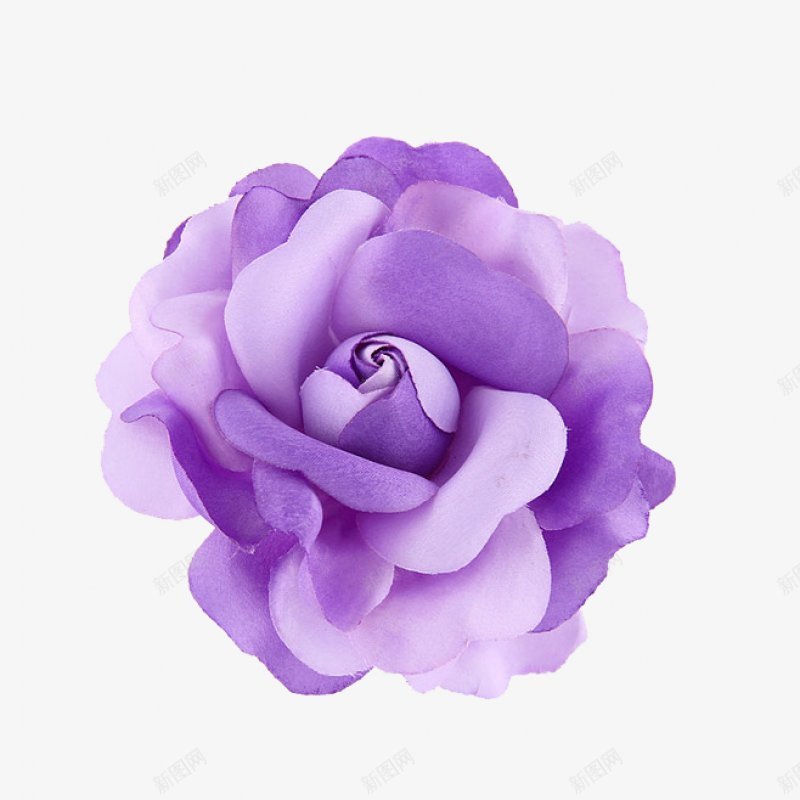 手绘紫色鲜花装饰图png免抠素材_新图网 https://ixintu.com  植物鲜花 一 朵花 紫色鲜花 开放 花香 可爱的 自然的 孤立的 装饰 