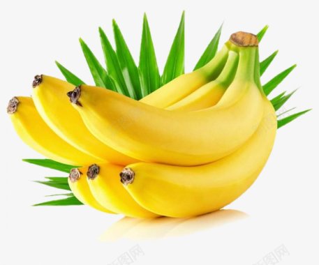 透明香蕉水果食材蔬菜水果画板精图标图标