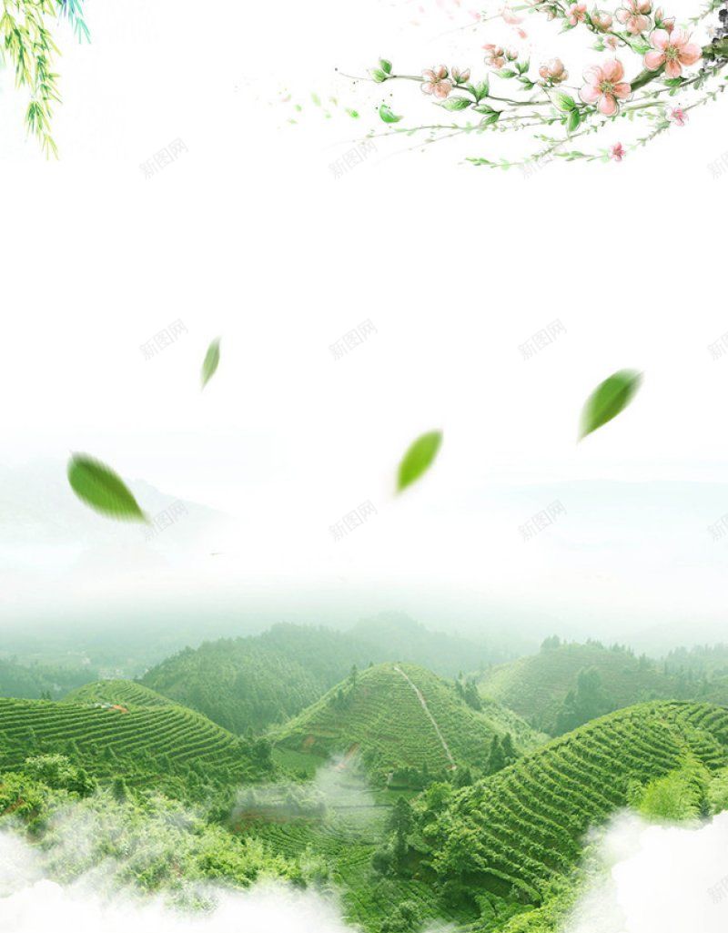 绿色茶叶春季jpg设计背景_新图网 https://ixintu.com 春季 绿色茶叶