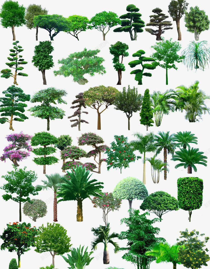 创意园林植物摄影png免抠素材_新图网 https://ixintu.com 创意 园林 摄影 植物