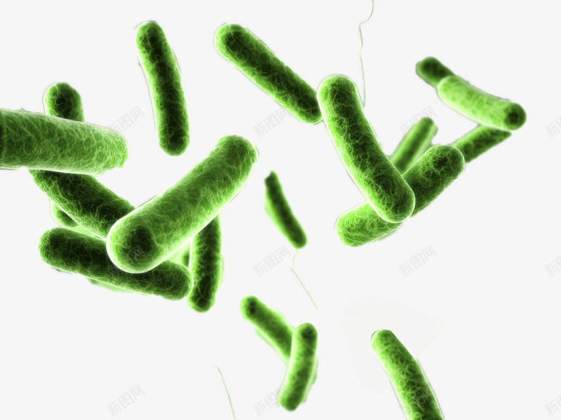 绿色虫形微生物png免抠素材_新图网 https://ixintu.com 实验 微生物 显微镜 生物科研 研究 科技 绿色 虫形