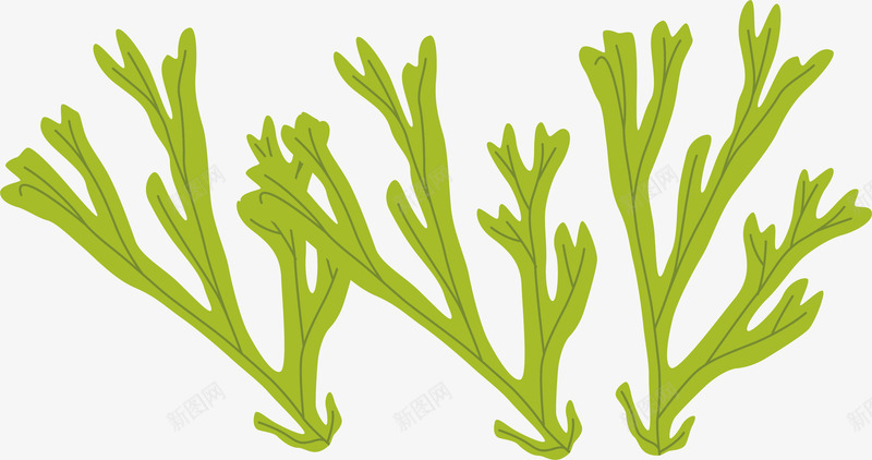水草海底绿色清新手绘图矢量图ai免抠素材_新图网 https://ixintu.com 三株 手绘 无盆景 水草 海底 清新自然 美丽 设计 矢量图