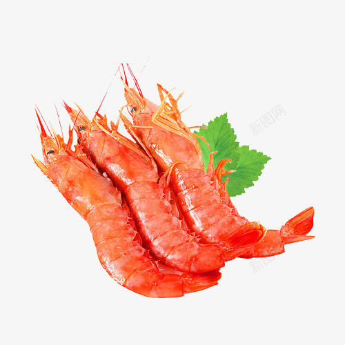 进口红虾png免抠素材_新图网 https://ixintu.com 口味虾 海鲜 美食 虾