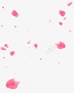 粉色樱花主题飘落的桃花瓣高清图片