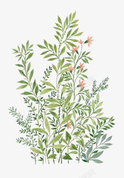 花朵植物叶子底纹图片手绘绿叶花卉植物高清图片