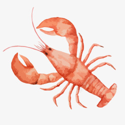 新鲜大龙虾手绘水彩可口大龙虾海味高清图片