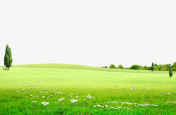 自然绿色草地背景草原花丛大自高清图片