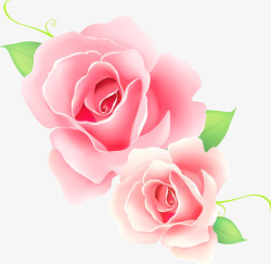 多朵粉色玫瑰花朵高清图片
