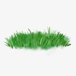 草地春天绿色植物小清新草丛高清图片