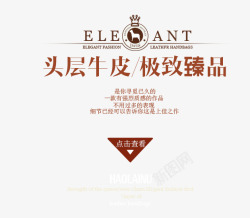 棕色头层小牛皮表带文字排版高清图片