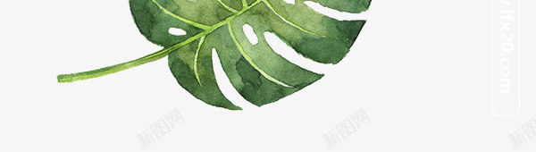 清新绿色叶子植物png免抠素材_新图网 https://ixintu.com 叶子 手绘 植物 清新 绿叶 绿色 绿色植物 芭蕉 蕨类 蕨类植物