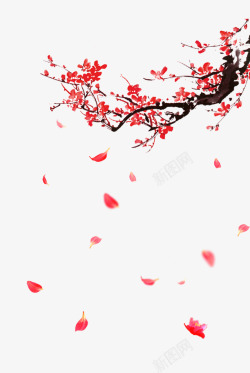 暖色调冬季新年背景梅花飘落高清图片