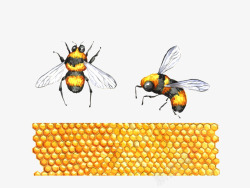 简单的蜂巢图片蜜蜂高清图片