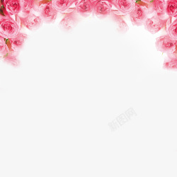 粉色点缀情人节花卉高清图片