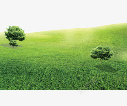 清爽绿色健康草地和树高清图片