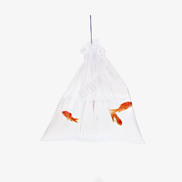 盛鱼的透明塑料袋png免抠素材_新图网 https://ixintu.com 塑胶袋 水 白色 透明塑料袋 鱼
