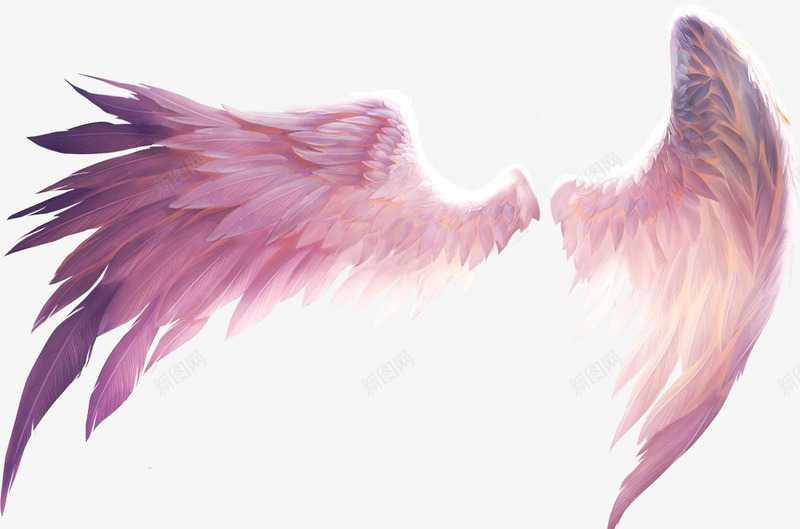 粉色翅膀png免抠素材_新图网 https://ixintu.com 两个翅膀 粉色 素材 翅膀