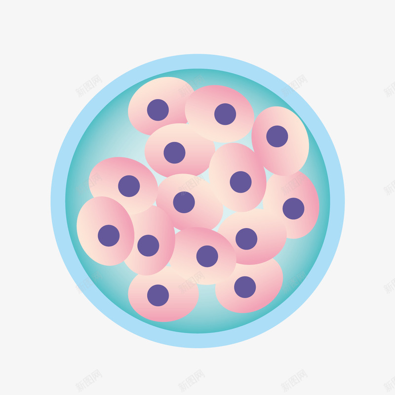 卡通细胞培养皿png免抠素材_新图网 https://ixintu.com 卡通培养皿 生物学 生物实验 细胞培养皿