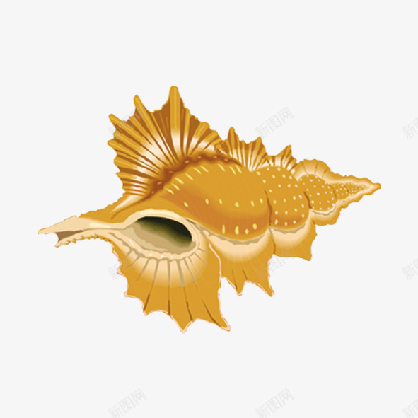 海底生物png免抠素材_新图网 https://ixintu.com 海底生物 海螺 黄色