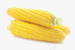 新鲜玉米素材
