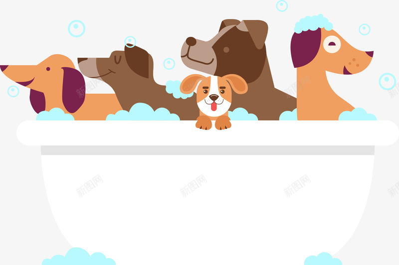 一群洗澡的狗狗png免抠素材_新图网 https://ixintu.com 棕色 洗澡 浴缸 狗