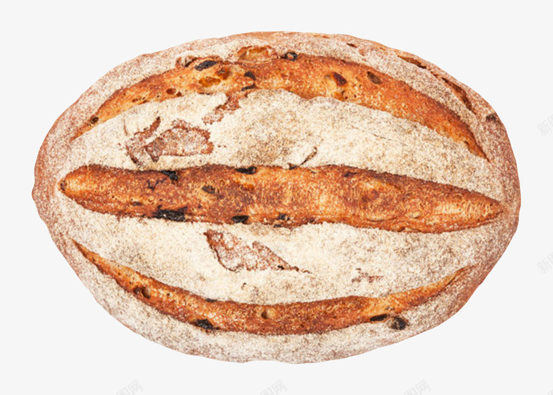 蓬松的面包俯视图png免抠素材_新图网 https://ixintu.com 俯视 大麦 小麦 白面 粉状物 糕点 糖类 蛋白质 裂纹 面粉制品 高热量