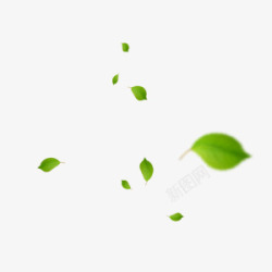 四季养生宣传漂浮树叶绿色高清图片
