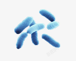 微生物显微镜大肠杆菌高清图片