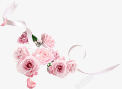 白色丝带缠绕丝带白色玫瑰花高清图片