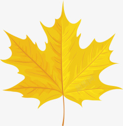 扇子素材秋天的黄色叶子高清图片