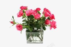 透明花瓶中的竹叶在花瓶中的玫瑰高清图片