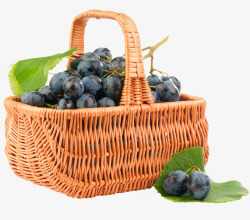 果篮里的蓝莓素材