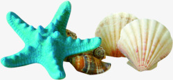 海底贝壳生物素材