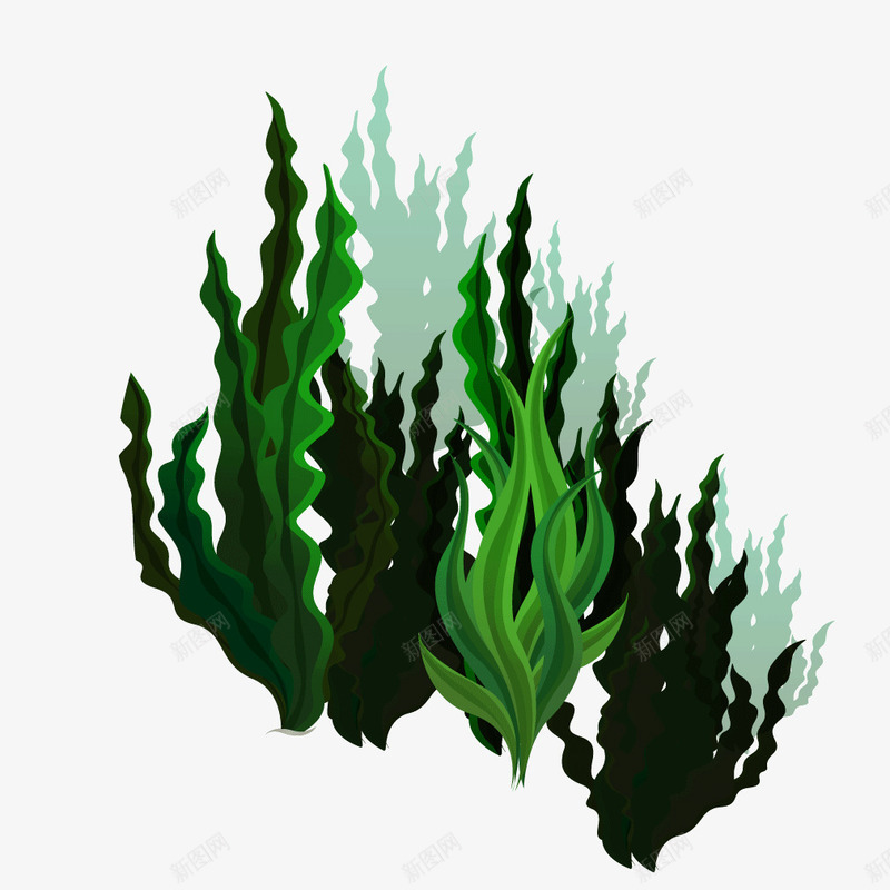 绿色海底生物海带png免抠素材_新图网 https://ixintu.com 海带 海底 海底生物 生物 绿色