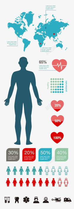 心脏健康分析人物信息分析图表高清图片