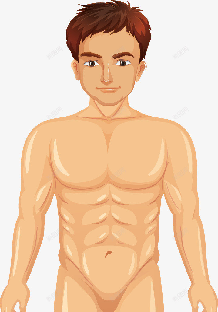 男性人体肌肉组织矢量图ai免抠素材_新图网 https://ixintu.com 人体 男性 男性肌肉 矢量png 肌肉 肌肉组织 矢量图